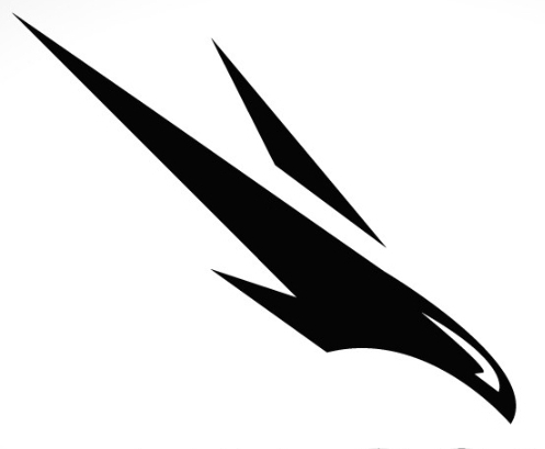 PROJECT FALCON PRECISION